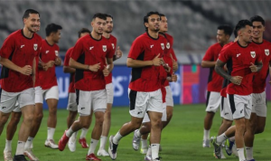Timnas
