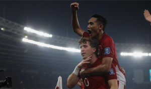 Timnas