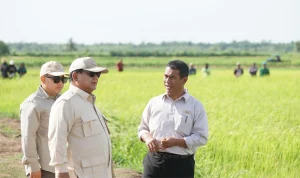 prabowo dan mentan