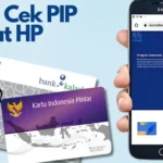 Panduan Cek PIP 2025