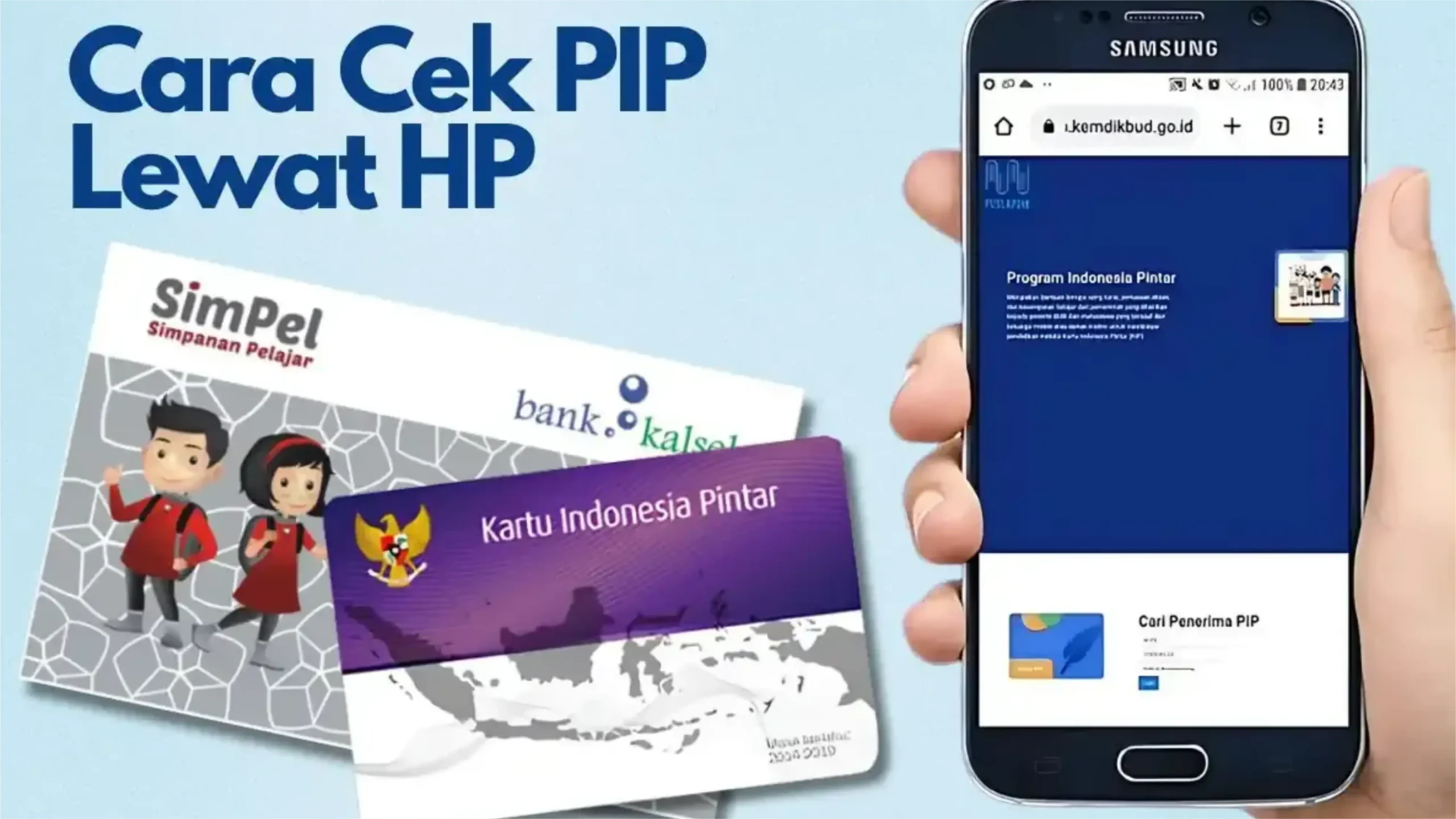 Panduan Cek PIP 2025