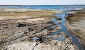 sungai eufrat warga temukan emas