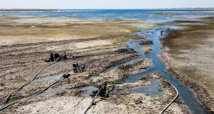 sungai eufrat warga temukan emas