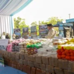 Kapolri Musnahkan 214 Ton Narkoba Kapolri Musnahkan 214 Ton Narkoba