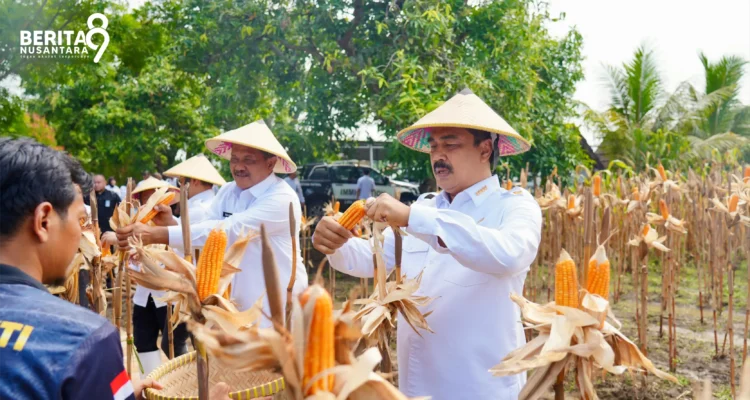 Setahun Kementerian Imipas