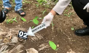 Penemuan Kerangka Manusia di Polres Ponorogo Penemuan Kerangka Manusia di Polres Ponorogo