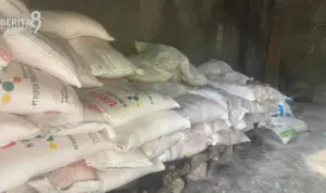 Ilustrasi Pupuk Subsidi Ilustrasi Pupuk Subsidi