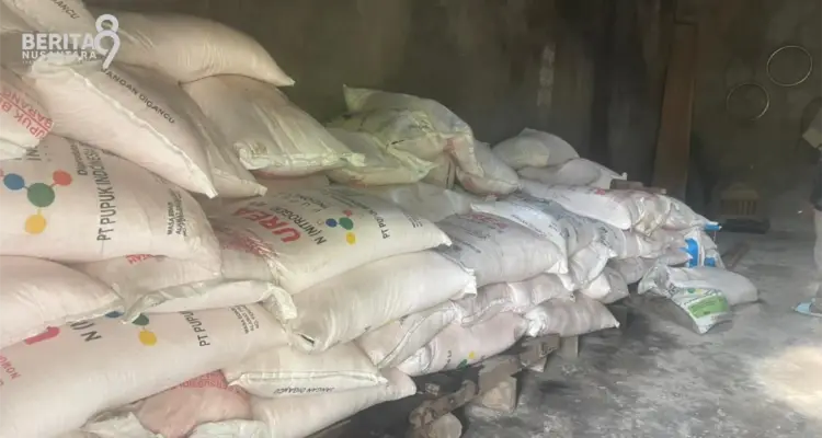 Ilustrasi Pupuk Subsidi Ilustrasi Pupuk Subsidi