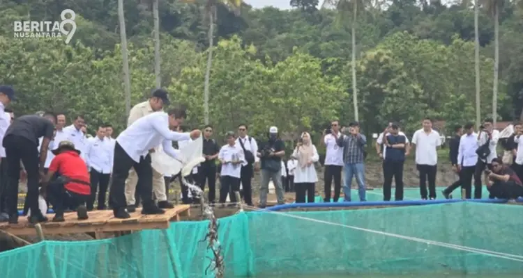 Menteri Imipas Lepas 1200 Sidat