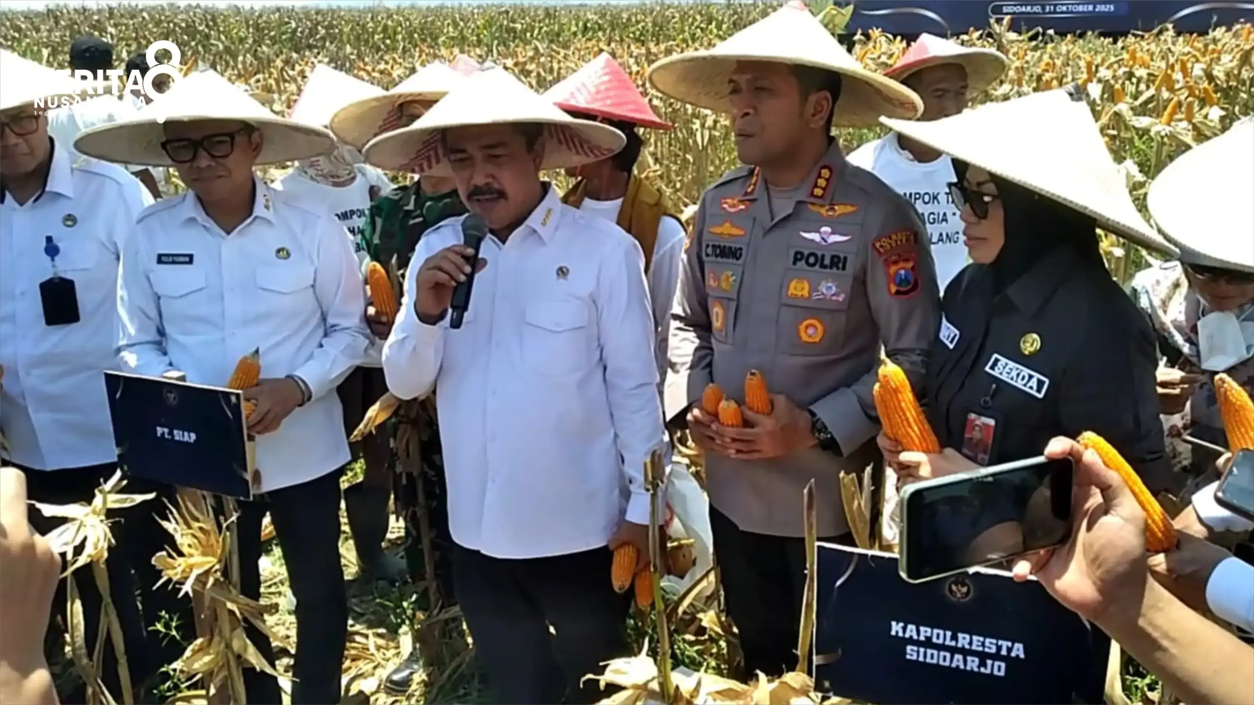 Menteri Imipas Panen Jagung di Sidoarjo