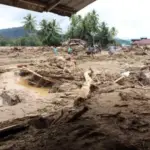 Update Korban Bencana Sumatera Update Korban Bencana Sumatera