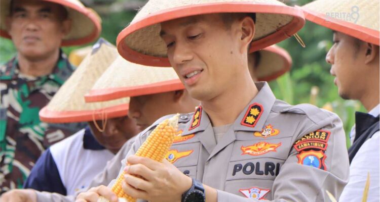 Polres Madiun Panen Raya Jagung