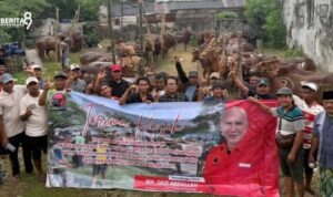 PDI Perjuangan Jatim Bagikan 468 Sapi Kurban
