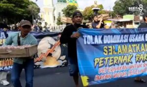 Protes Peternak Telur di Magetan