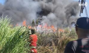 Kebakaran Gudang Plastik di SidoarjoKebakaran Gudang Plastik di Sidoarjo