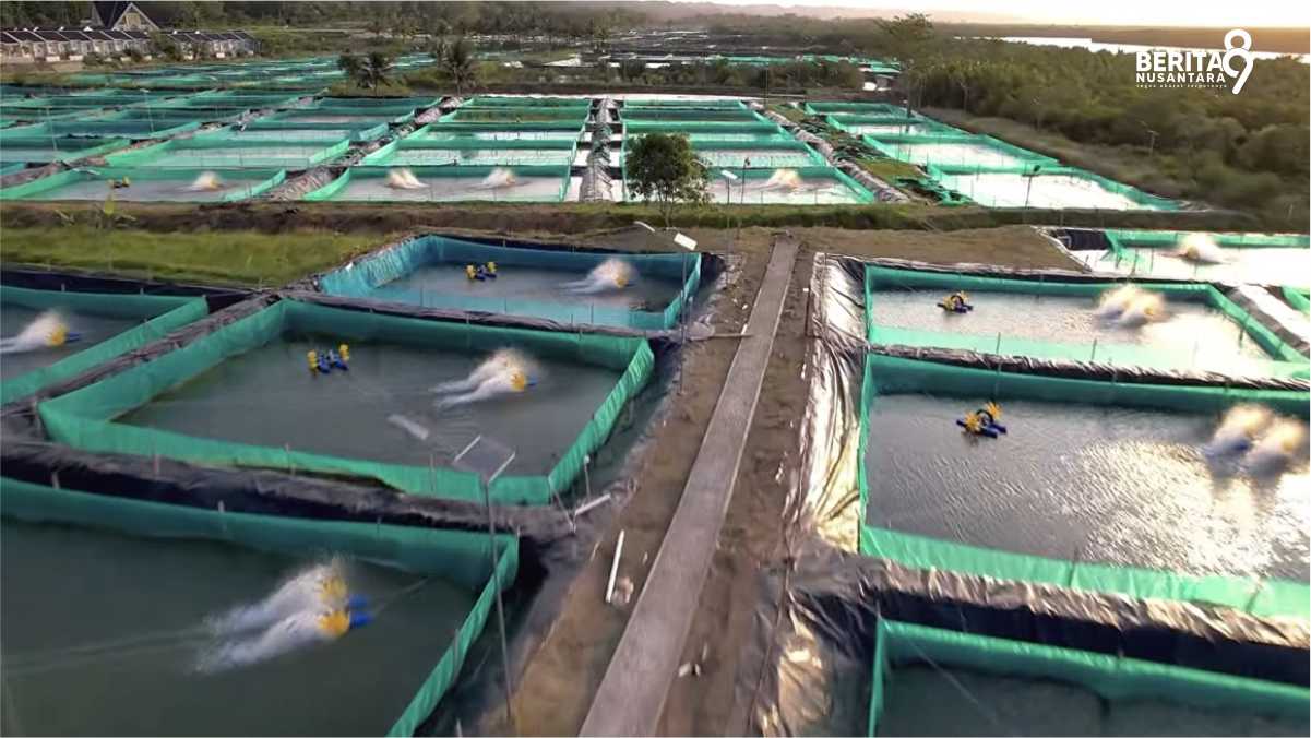 Kemenimipas Budidaya Sidat Untuk Warga Binaan di Nusakambangan