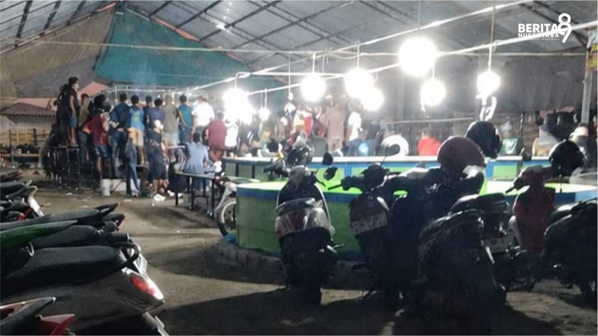Dugaan Judi Sabung Ayam Meresahkan Warga Sidoarjo