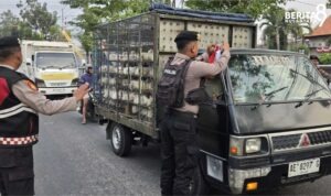 Pengendara Mobil Juga Mendapatkan Bendera Merah Putih