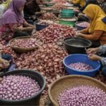 Ilustrasi Pekerja Kupas Bawang di Nganjuk